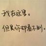南乳土豆炒饭